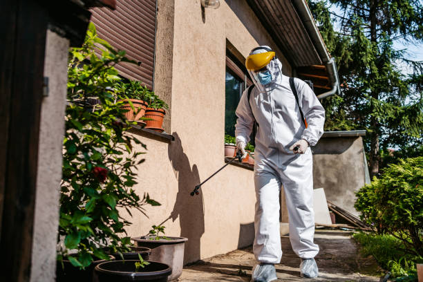 Pest Control Cost in Pine Prairie, LA
