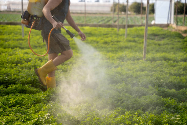 Best Best Pest Control Companies  in Pine Prairie, LA