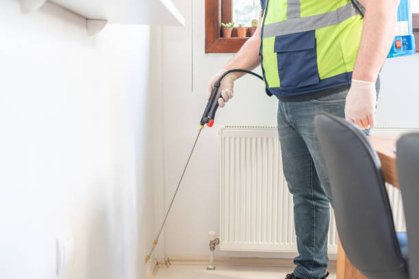 Best Flea Control Services  in Pine Prairie, LA